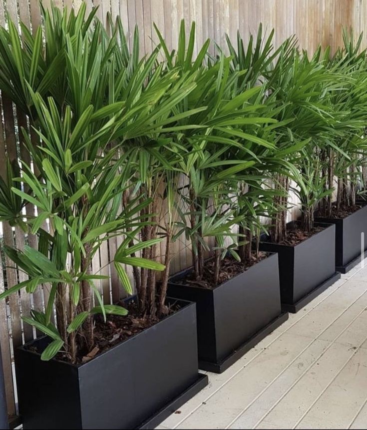 plant's unit Image
